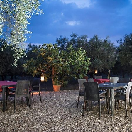 B&B Rifugio Tra Gli Ulivi 坎帕尼亚 外观 照片