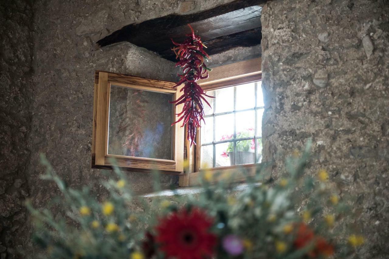 B&B Rifugio Tra Gli Ulivi 坎帕尼亚 外观 照片