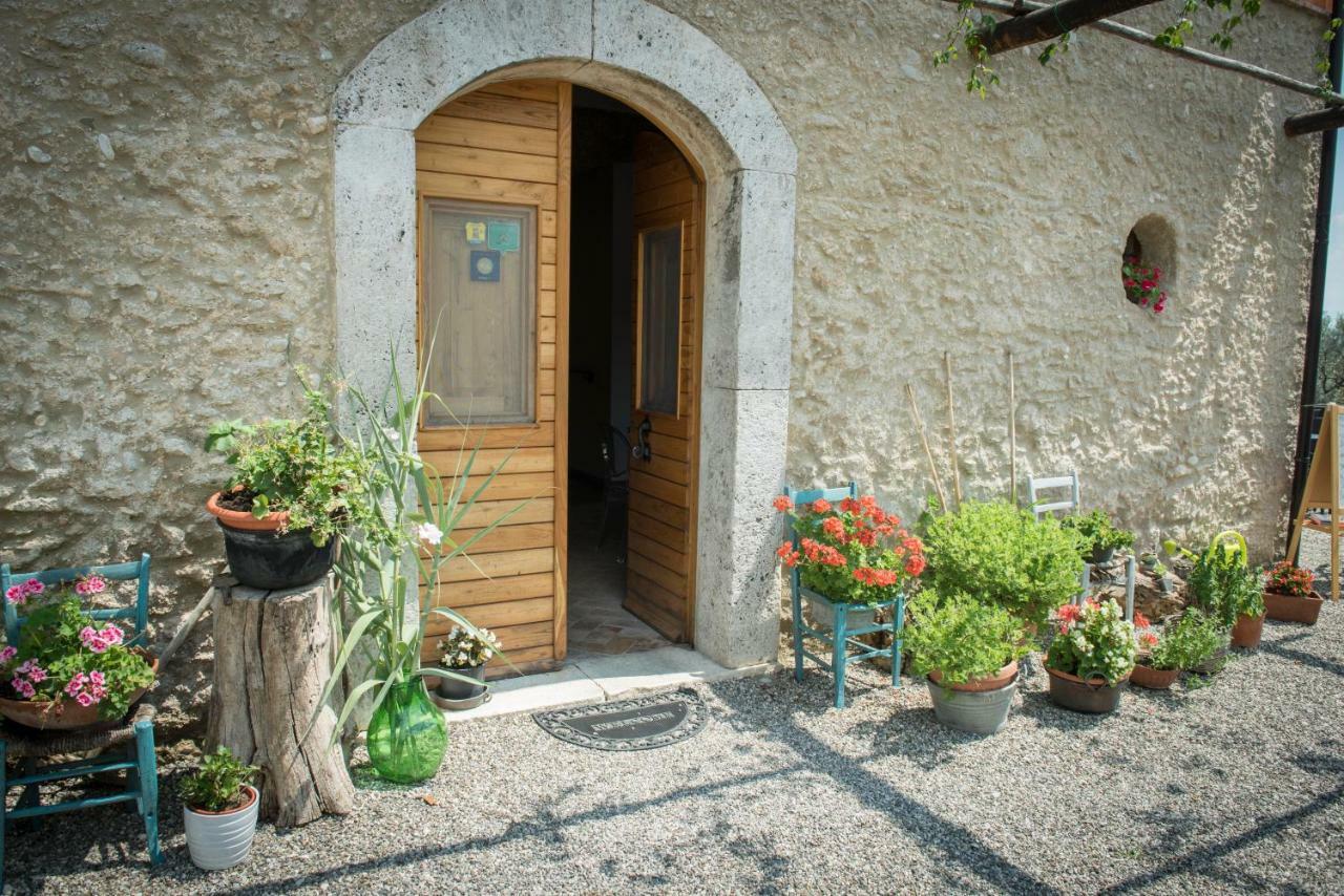 B&B Rifugio Tra Gli Ulivi 坎帕尼亚 外观 照片
