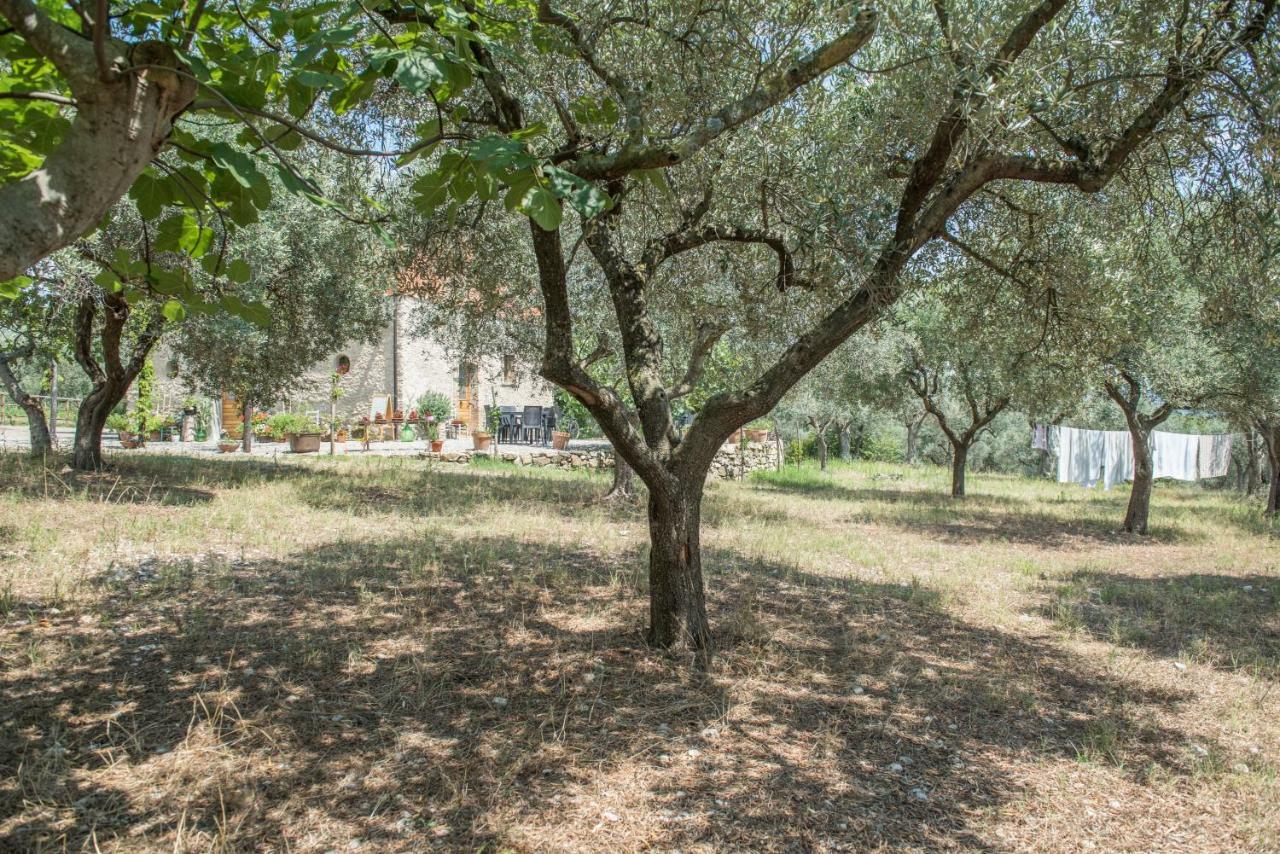 B&B Rifugio Tra Gli Ulivi 坎帕尼亚 外观 照片