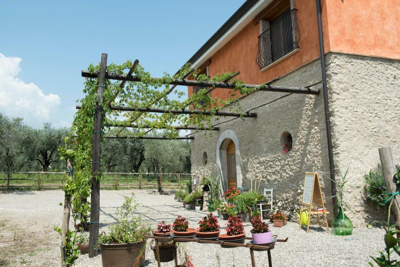 B&B Rifugio Tra Gli Ulivi 坎帕尼亚 外观 照片