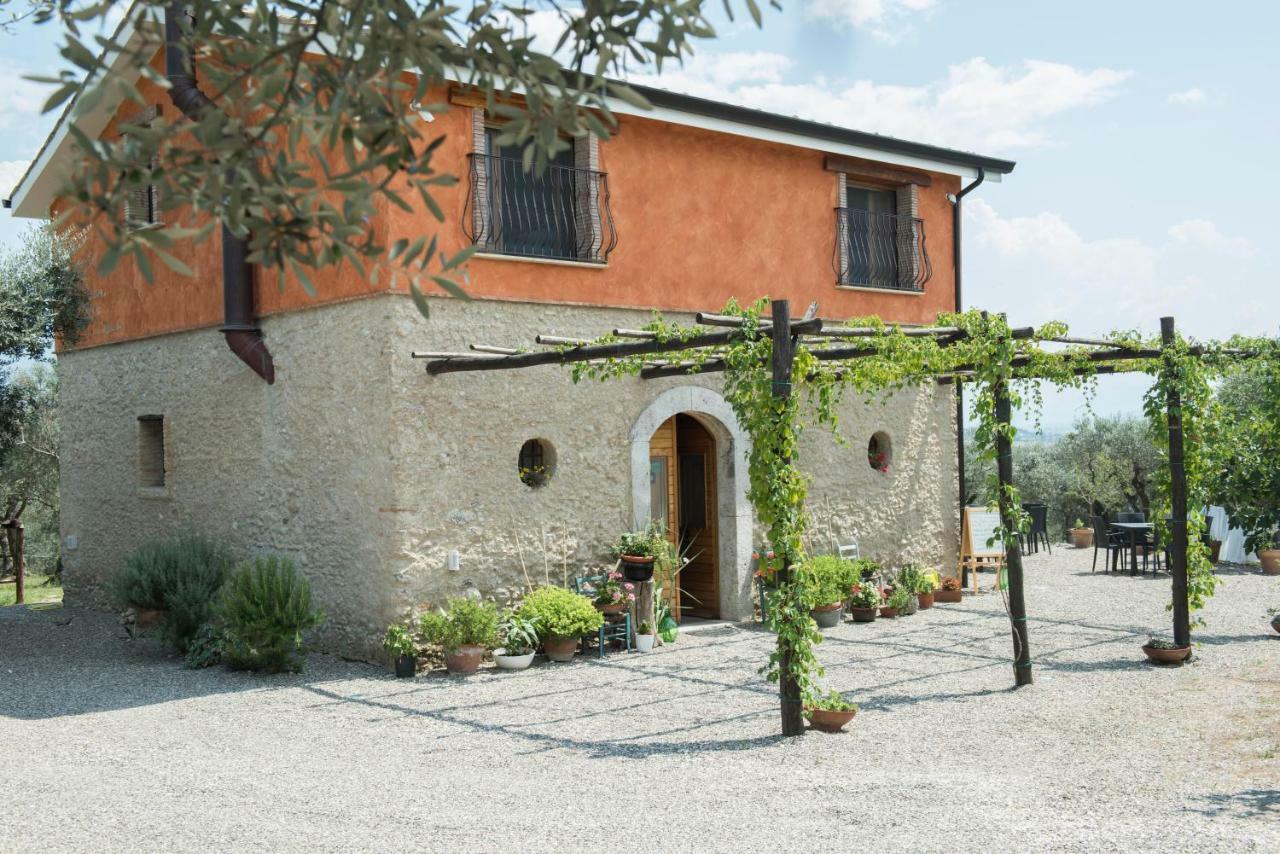 B&B Rifugio Tra Gli Ulivi 坎帕尼亚 外观 照片
