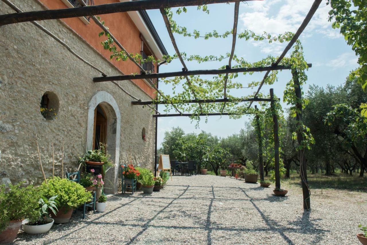 B&B Rifugio Tra Gli Ulivi 坎帕尼亚 外观 照片