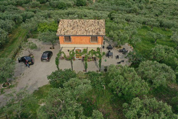 B&B Rifugio Tra Gli Ulivi 坎帕尼亚 外观 照片
