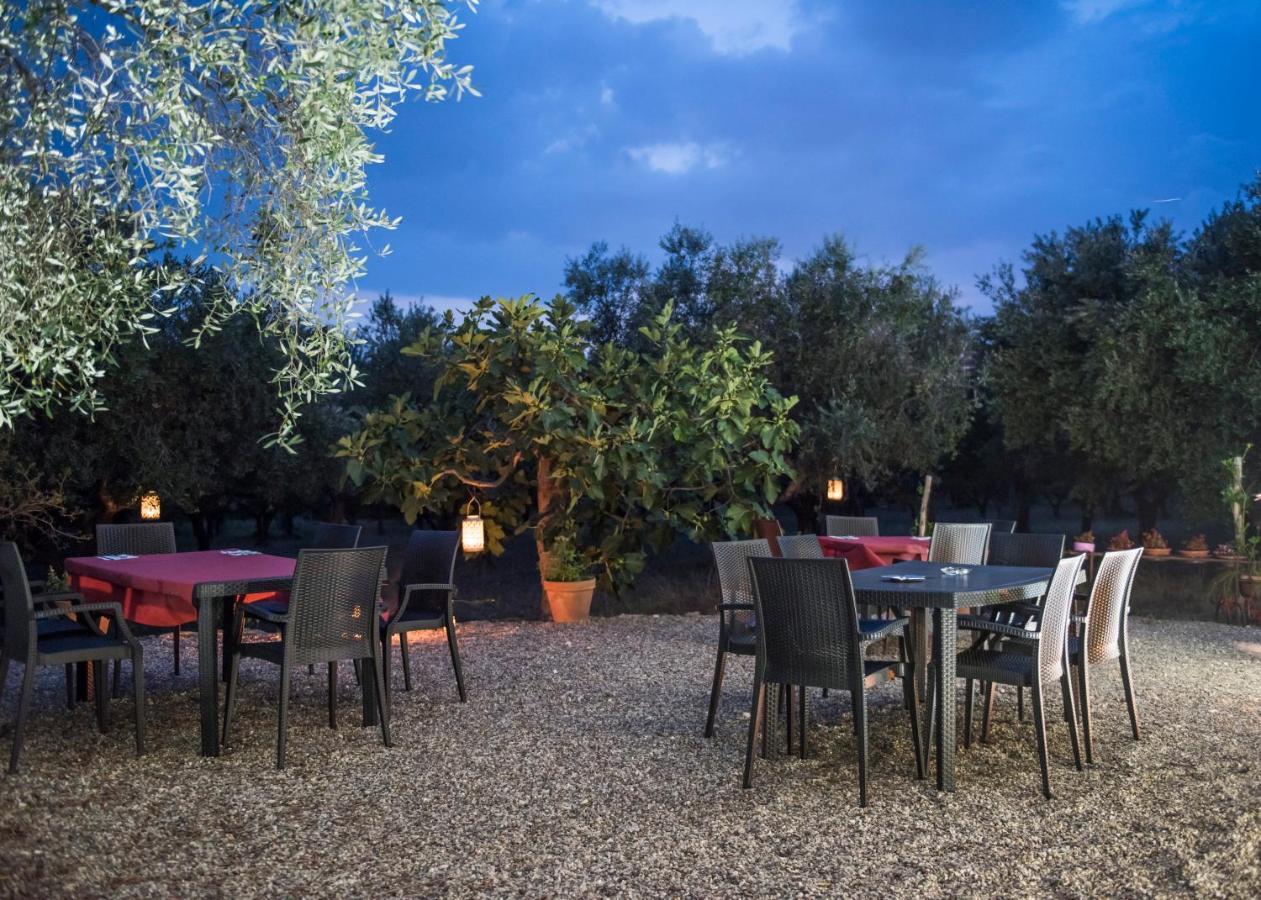 B&B Rifugio Tra Gli Ulivi 坎帕尼亚 外观 照片