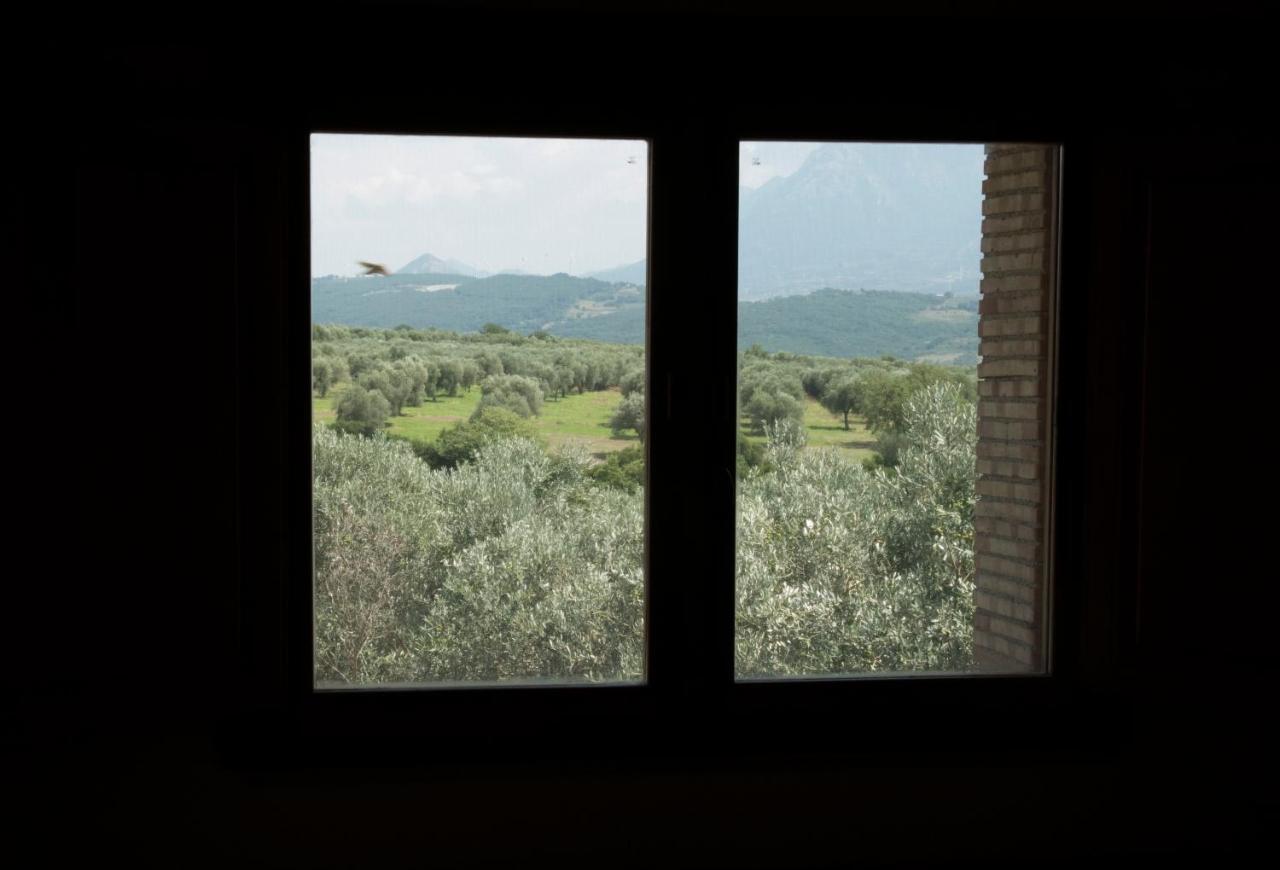 B&B Rifugio Tra Gli Ulivi 坎帕尼亚 外观 照片